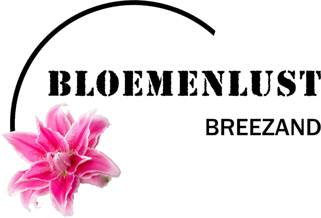 Bloemlust Breezand Rinus Security BV